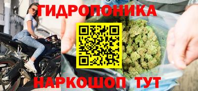 стафф Бугуруслан