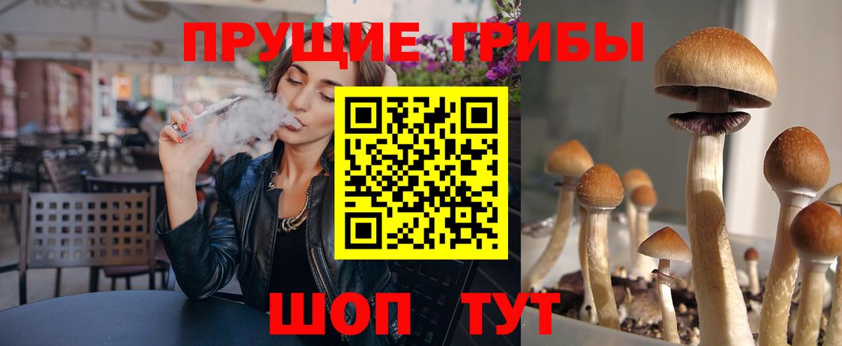 Галлюциногенные грибы мицелий  Вход с VPN  Усть-Джегута 